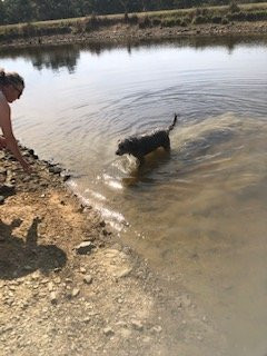 The Hide at Mt Franklin主图