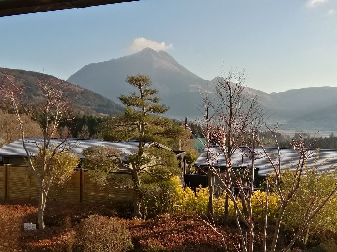 大分汤布院花由日式旅馆主图