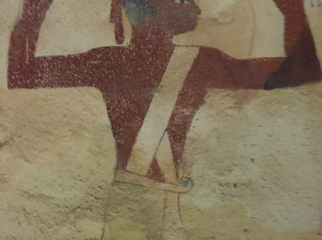 Bahariya Cemetery景点图片