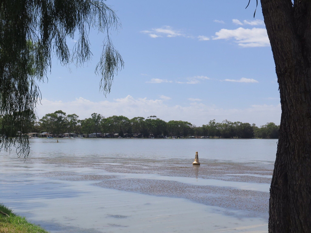 Lake Boort-Boort必去景点