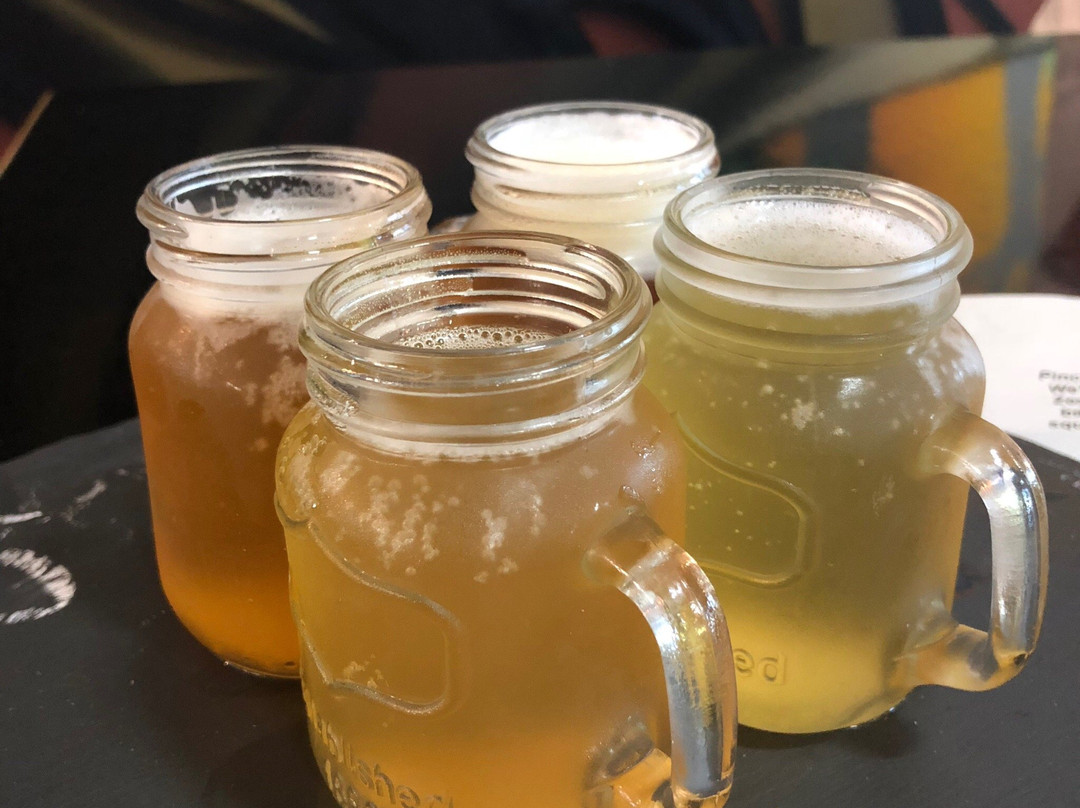 Social Bandit Brewing Co-曼斯菲尔德必去景点