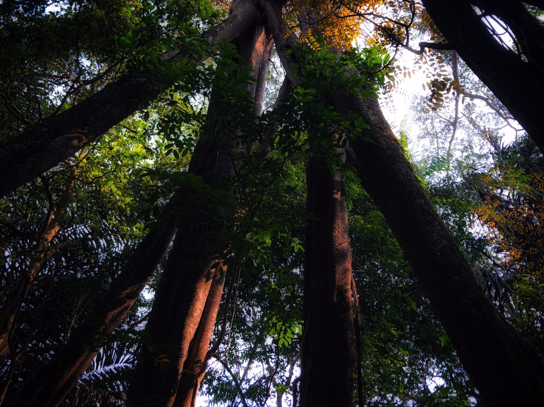Lake Sangiang-Majalengka必去景点