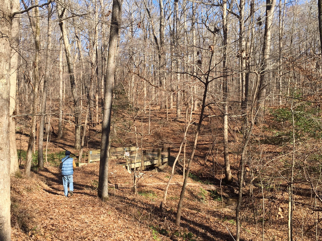 Harbins Park-Dacula必去景点