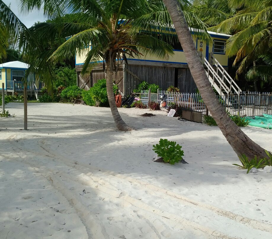 Seascape Inn, Andros主图