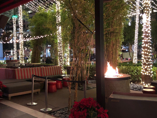 YOLO-劳德代尔堡必去景点