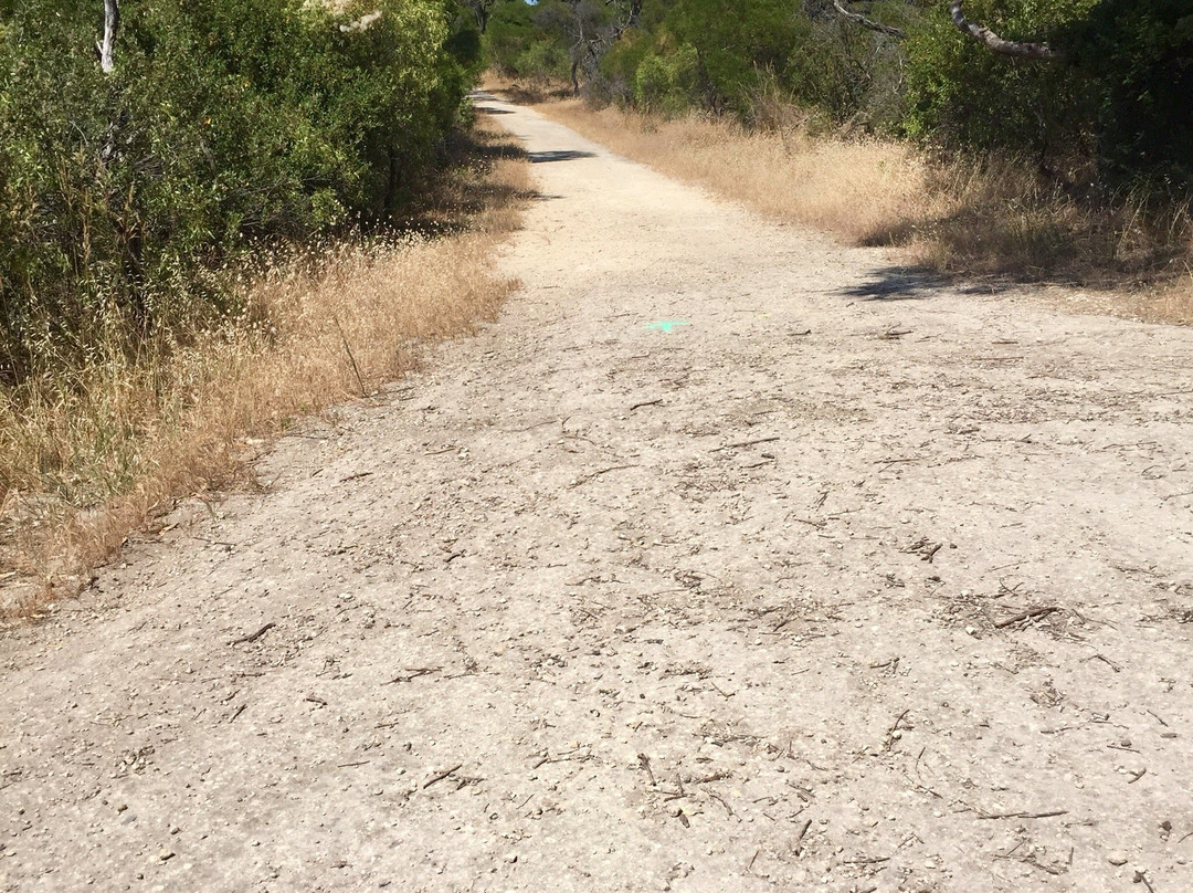 Trigg Bushland Reserve景点图片