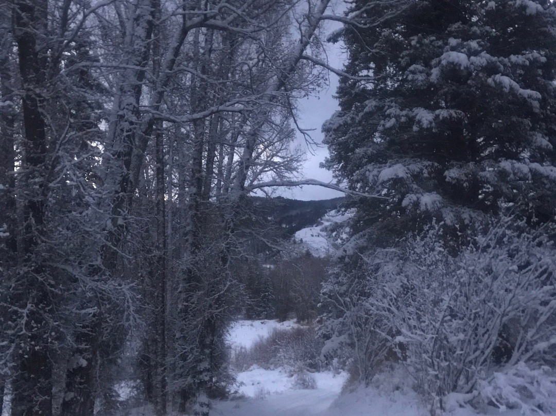 Dog Creek Trail-杰克逊必去景点