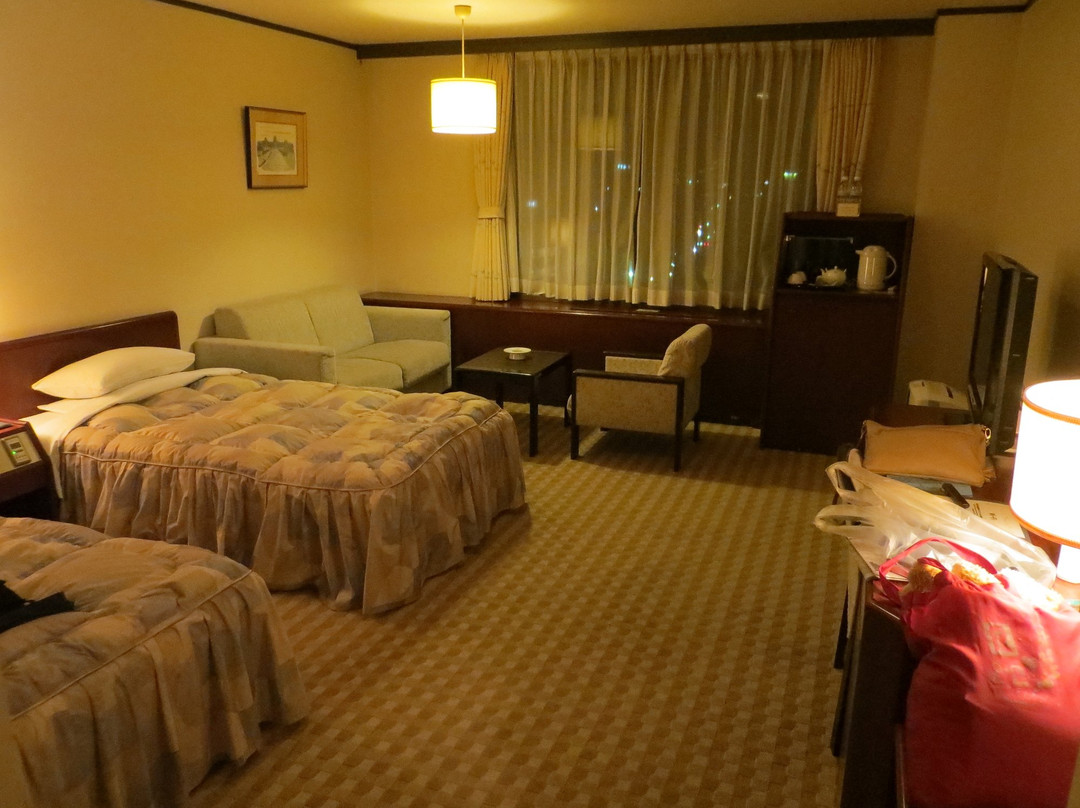 岐阜大酒店主图