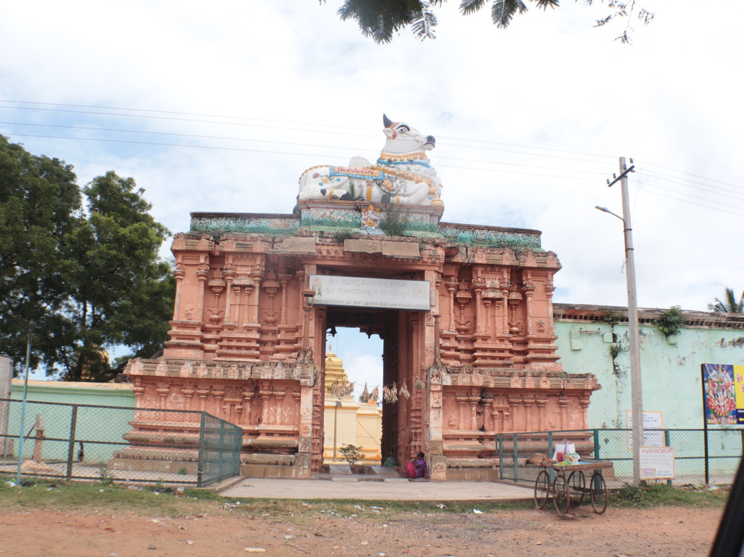 Ranganathaswamy Temple景点图片