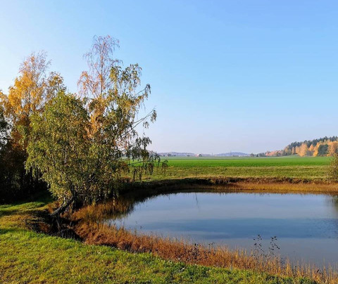 Toivon Tila-Halikko必去景点