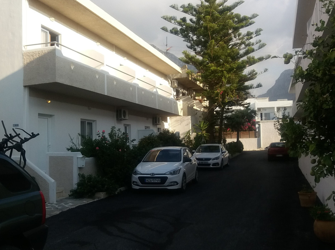 Costas & Chrysoula主图