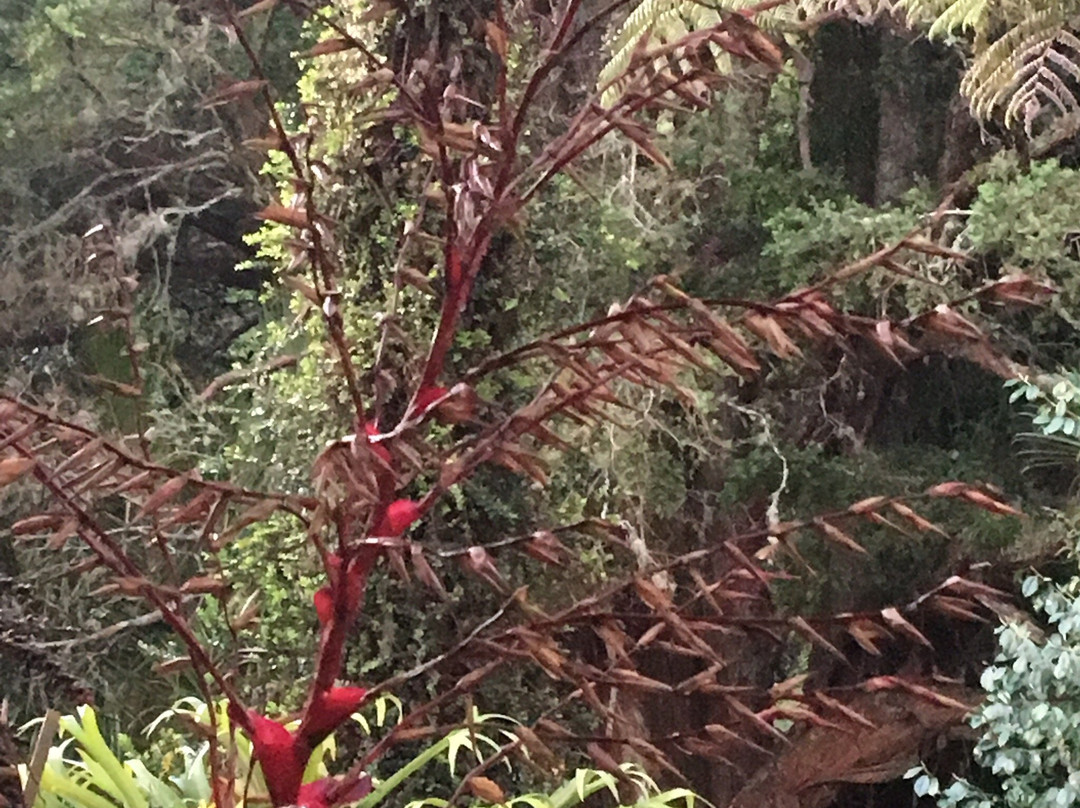 Waimoana Garden Accommodation主图