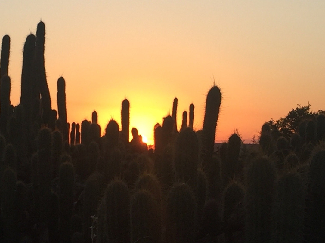 Samara Karoo Reserve主图