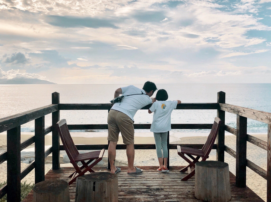 海龟出没 蓝色海洋屋久岛主图