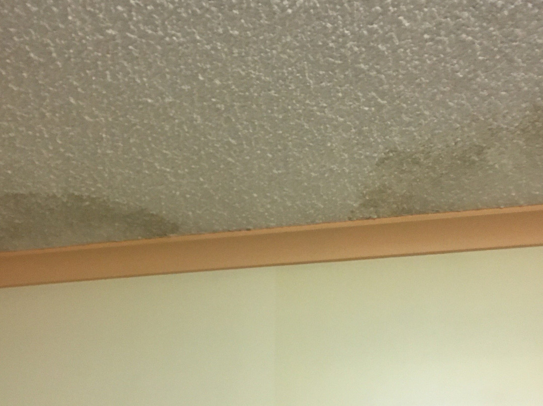 Edgecliff Lodge Motel主图