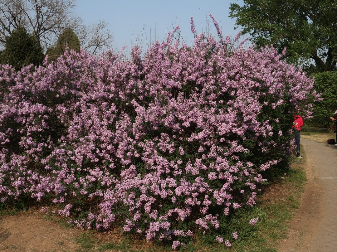 植物园温室-北京市必去景点