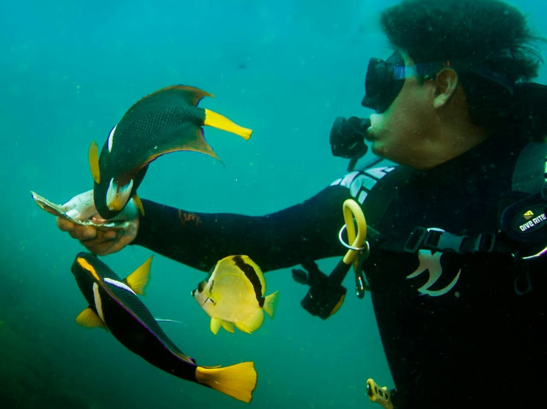 Dive Azteca Pro-Puerto Angel必去景点