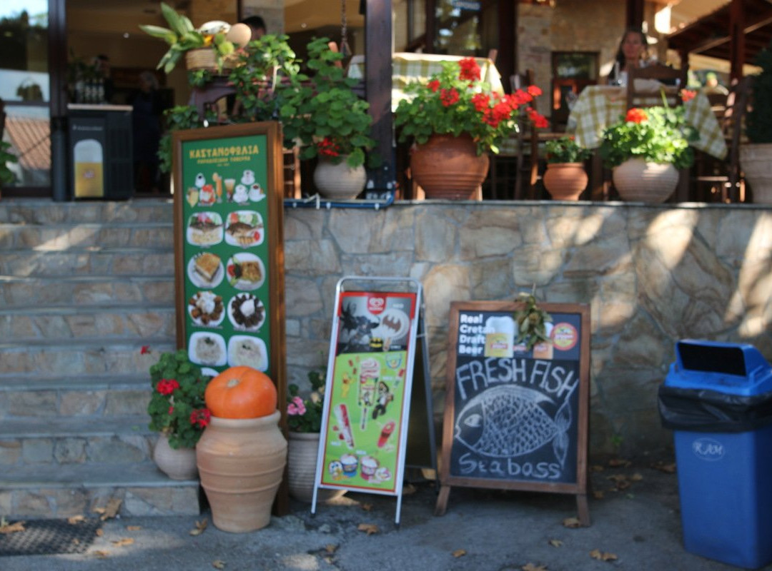 Elos旅游攻略图片