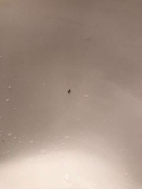 TownePlace Suites by Marriott Richmond主图