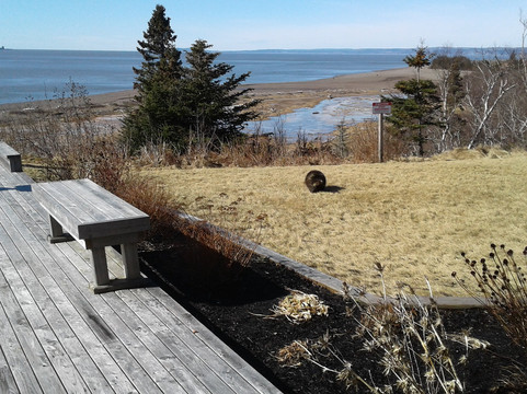 Fundy Ocean Research Centre for Energy Visitor Centre-West Bay必去景点