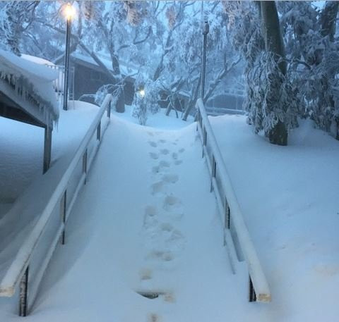 Enzian Hotel - Mt Buller主图