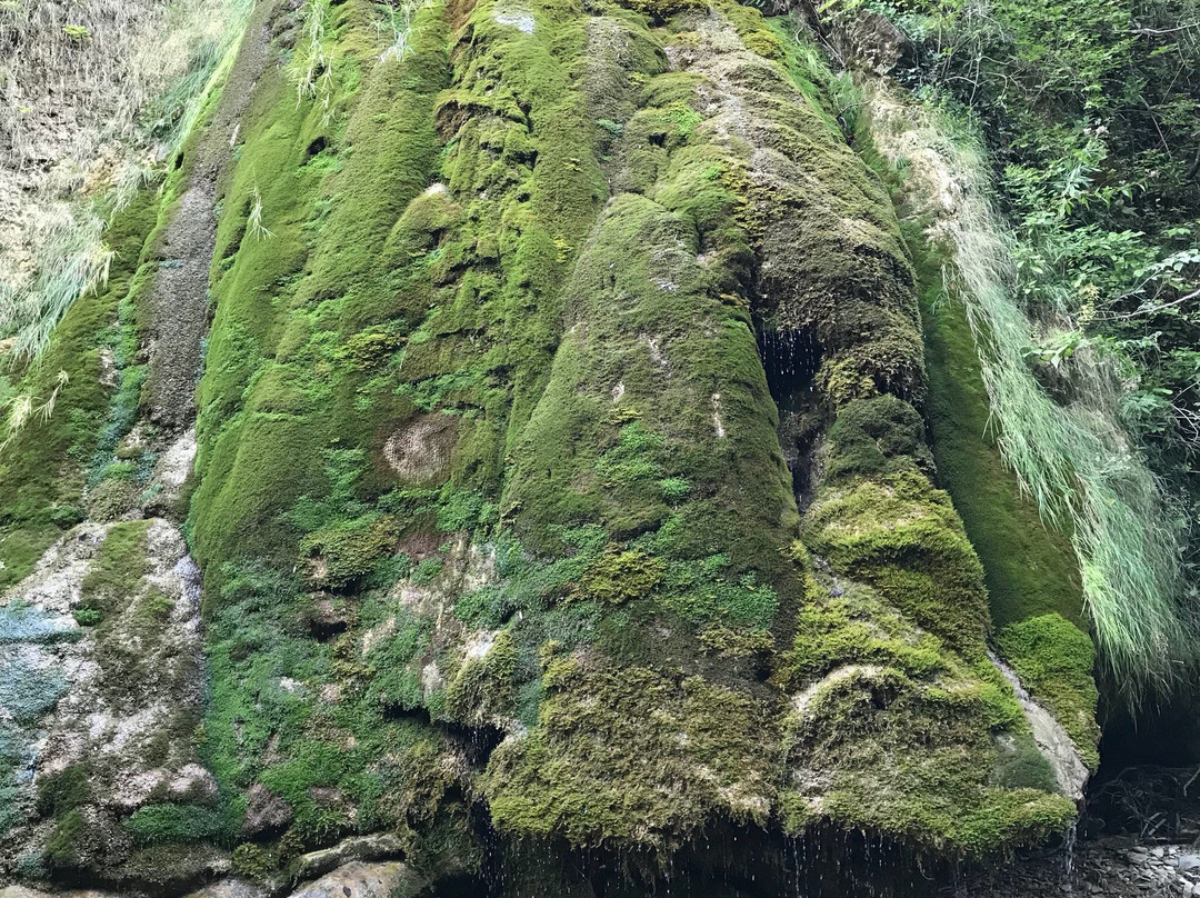 Dolmen Complex景点图片