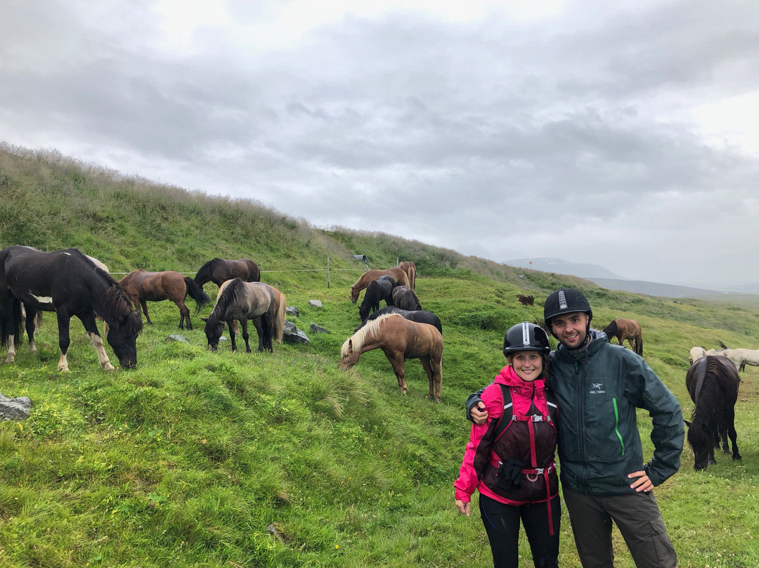 Fjallahestar-Siglufjordur必去景点