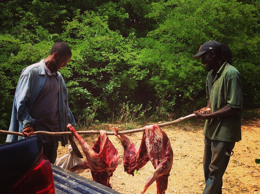 Artcafe-巴布达必去景点