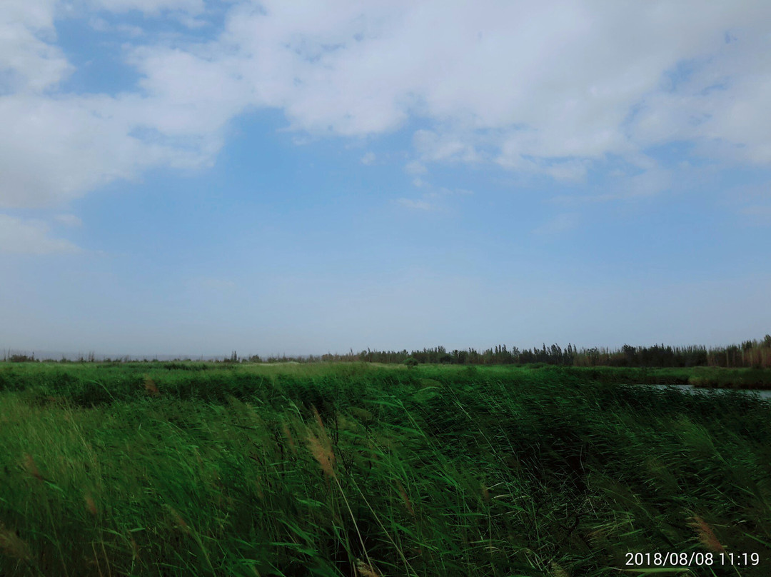 相思湖-焉耆回族自治县必去景点