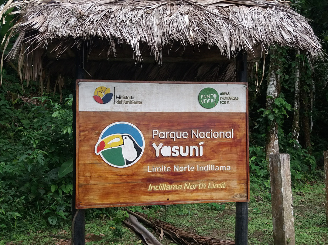 Parque Nacional Yasuni景点图片