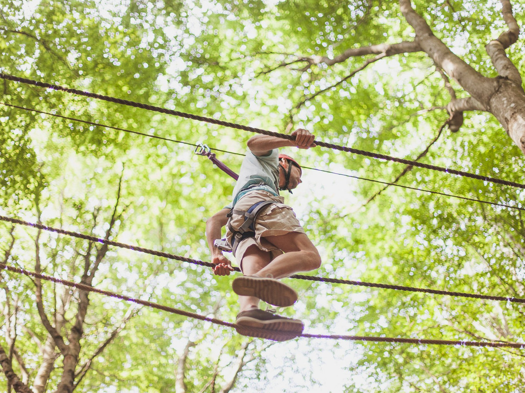 Omberg Zipline-Odeshog必去景点