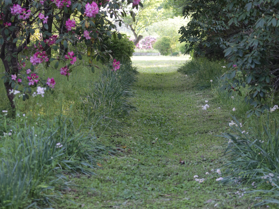 Kanuma Nishikigoi Park-鹿沼市必去景点