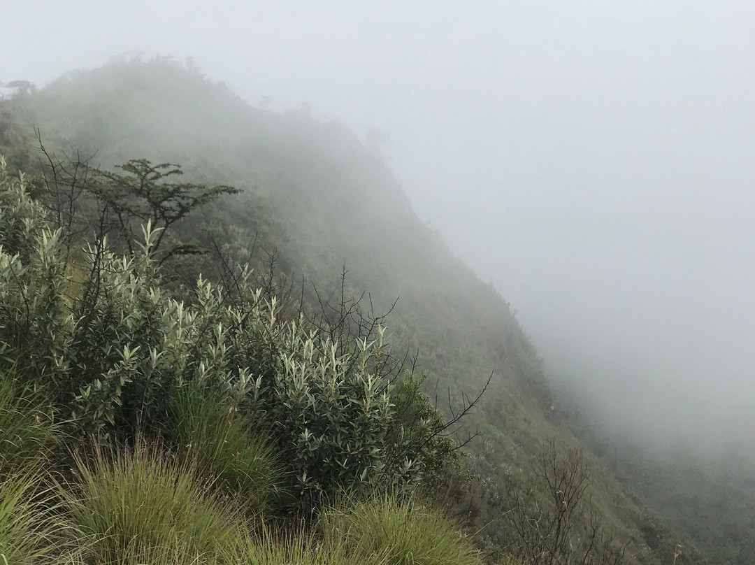 Mount Longonot National Park景点图片