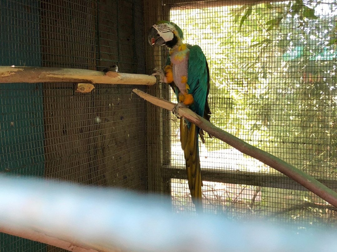 Saint-Placide旅游攻略图片