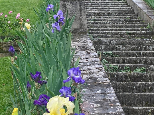 Florencewalk - Guided Tours in Florence-佛罗伦萨必去景点