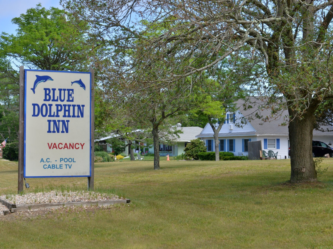 蓝色海豚旅馆主图