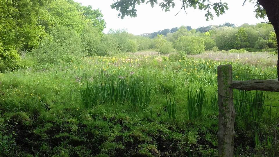 Marais du Quellen-Trebeurden必去景点