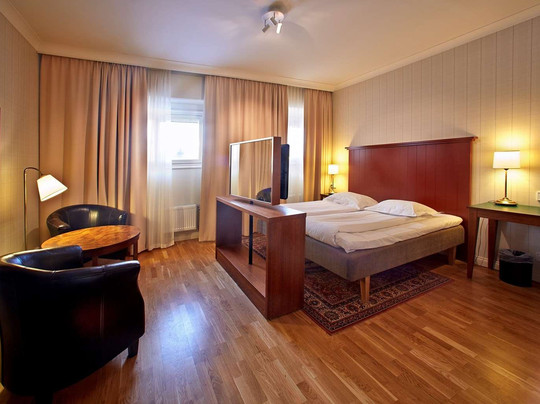 瑞典精英酒店主图