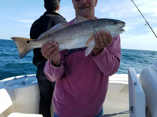 FishNMB-美特尔海滩必去景点