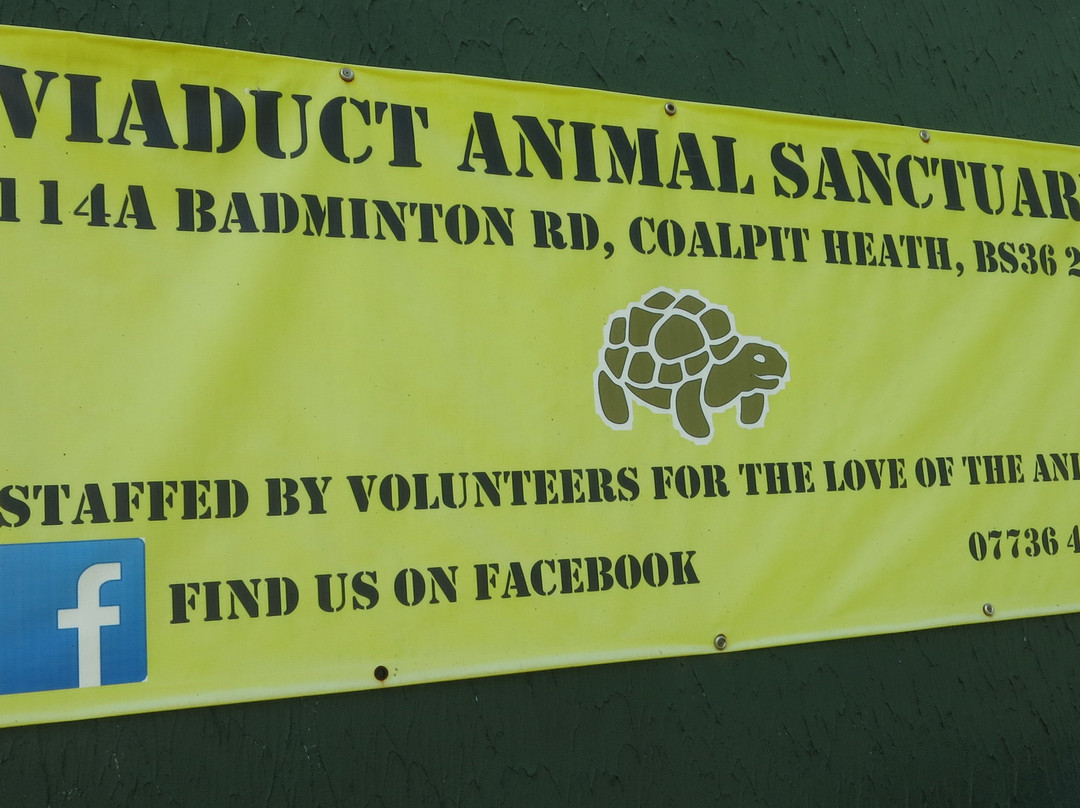 Viaduct Animal Sanctuary景点图片