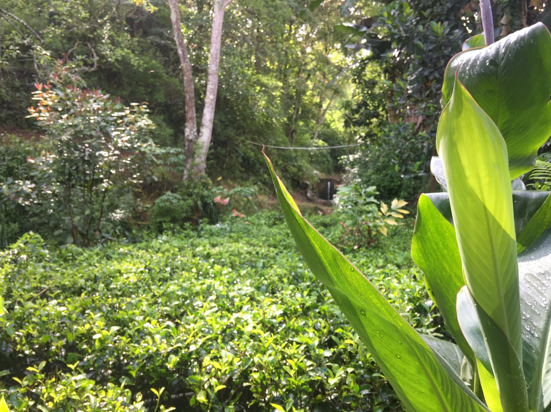 Train View Chalet主图