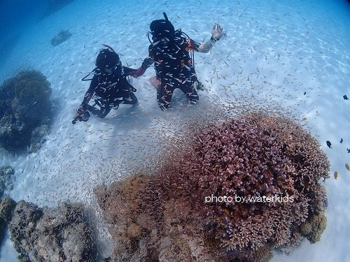 Reef Inn Kuniyoshi主图