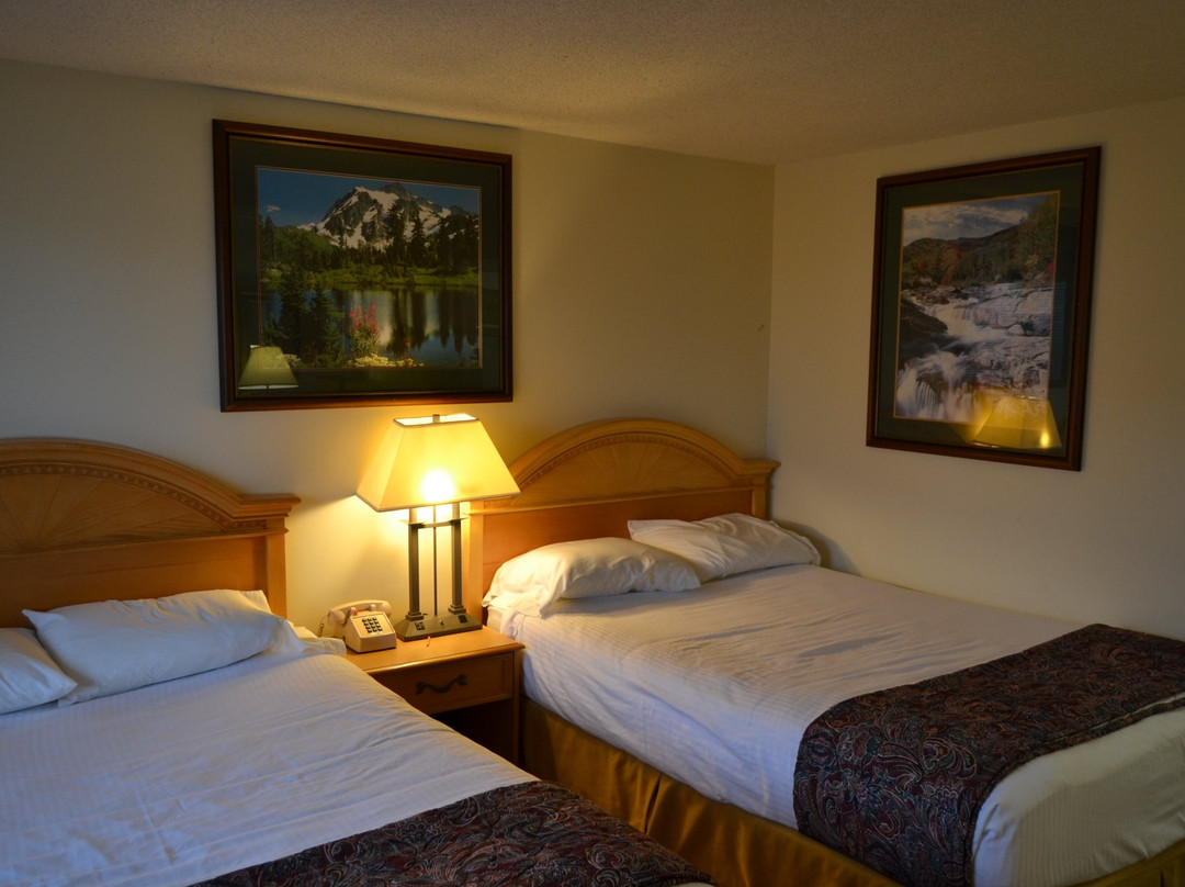 The Ship Motel主图