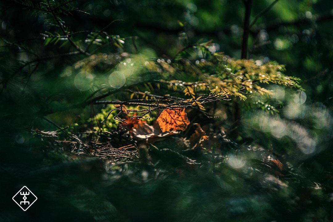 The Latvian Element-里加必去景点