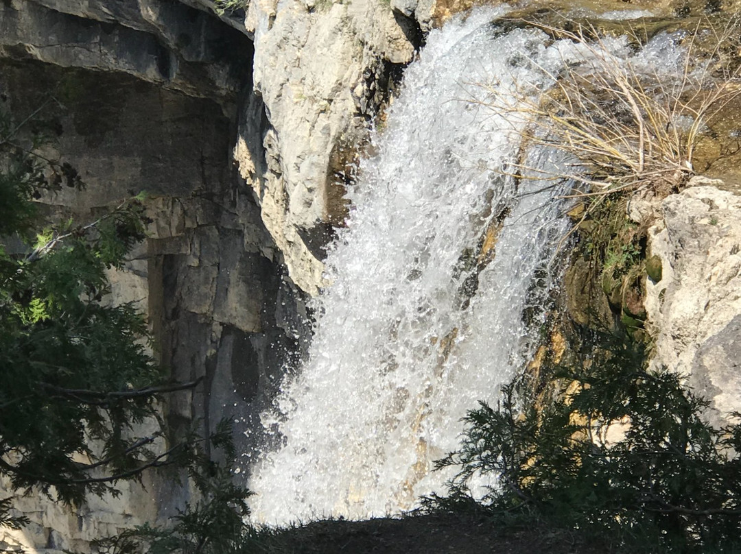 Eugenia Falls Conservation Area景点图片