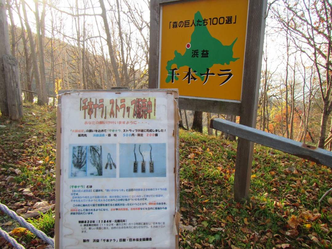 Sembon Nara-石狩市必去景点