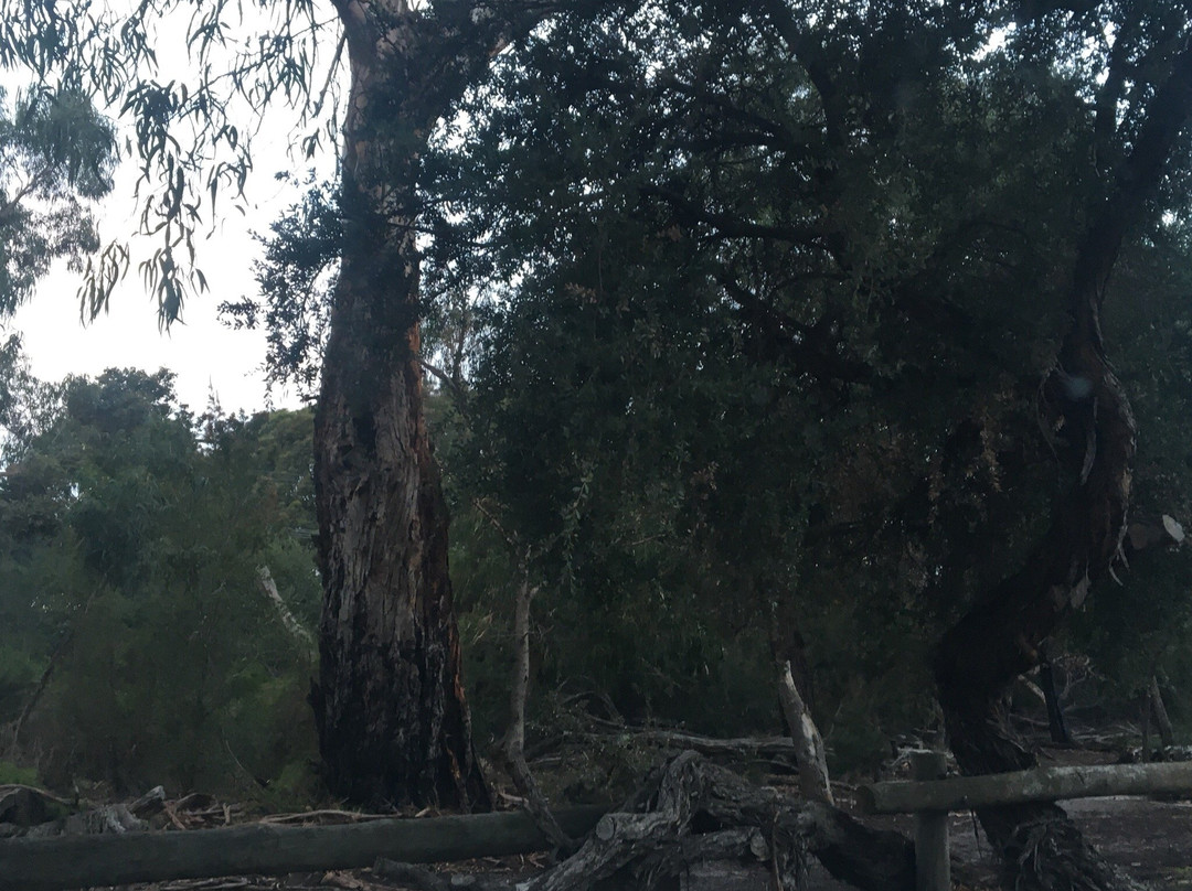 Merindah Park-Sandringham必去景点