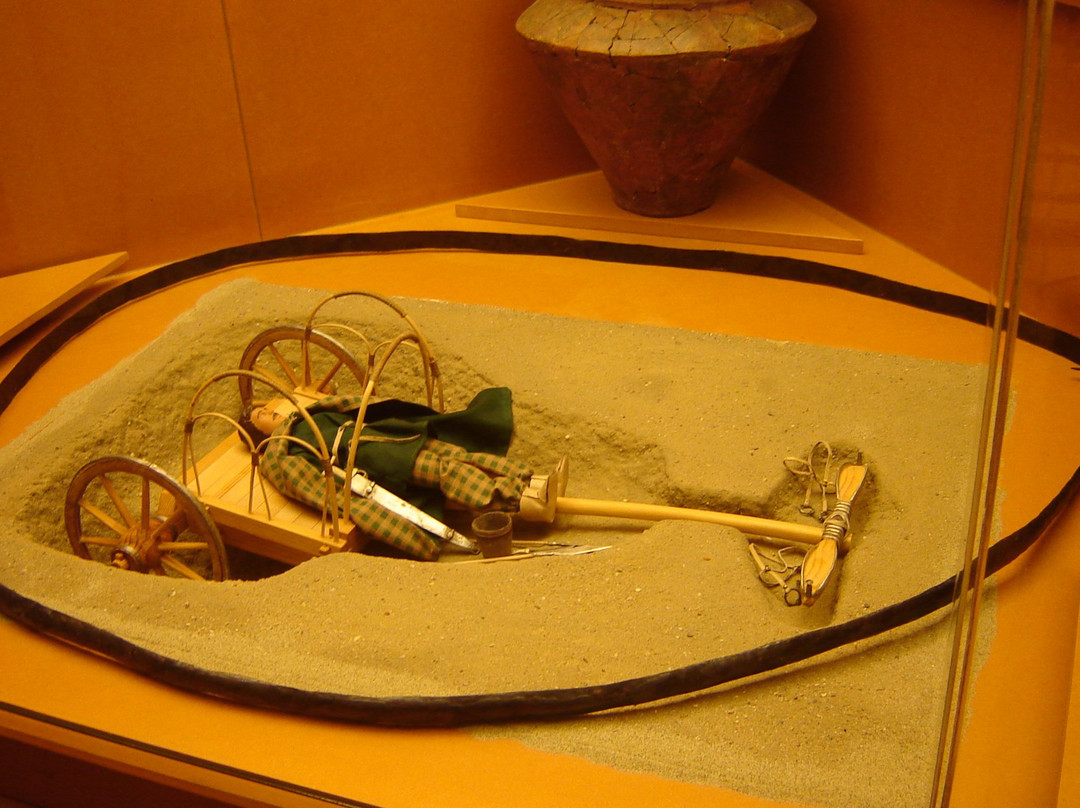 Musée des Celtes景点图片