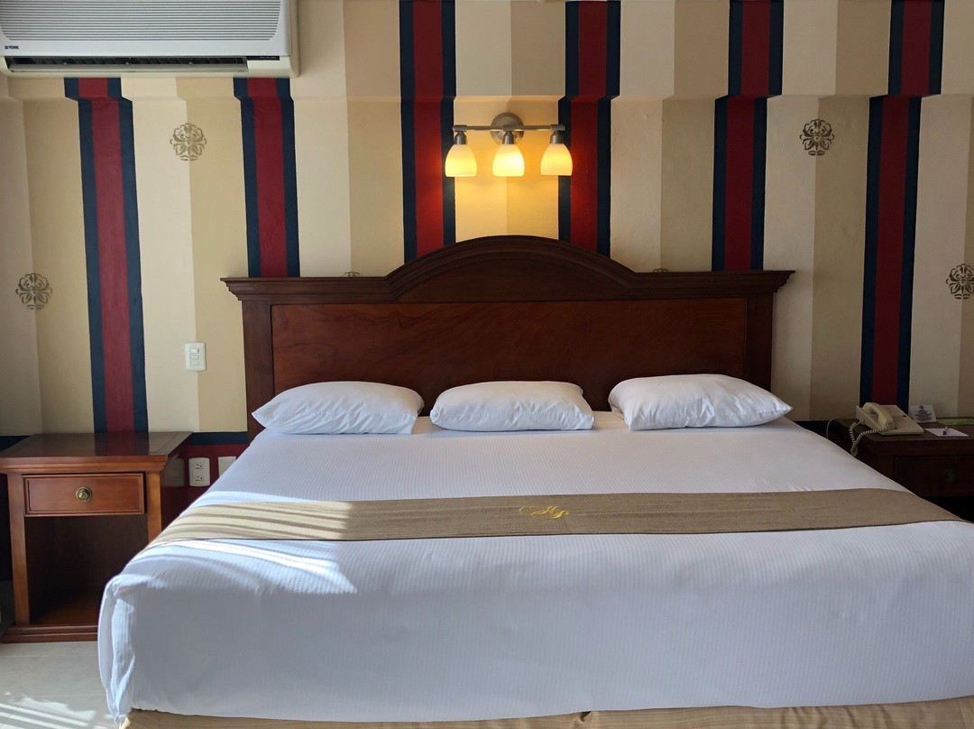 Hotel Plaza Colonial主图