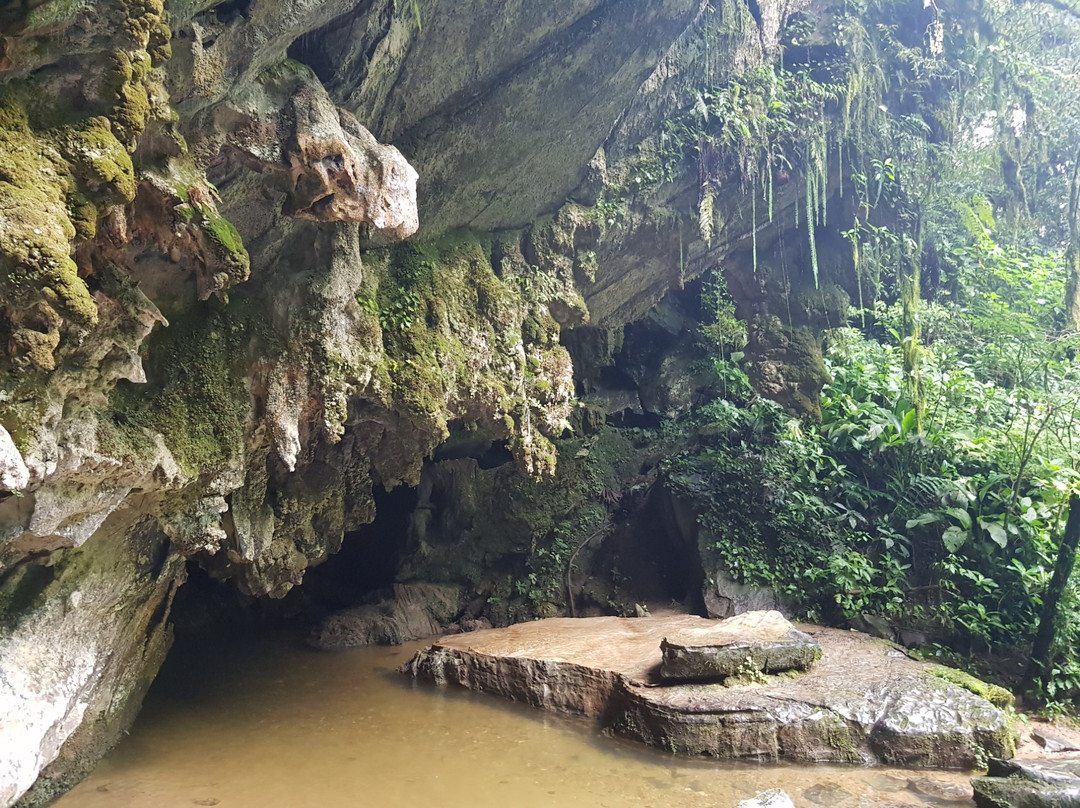 Rota das Cavernas景点图片